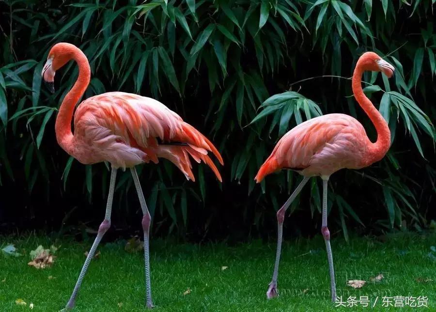 东营五一假期好去处,五一东营去哪里玩比较好