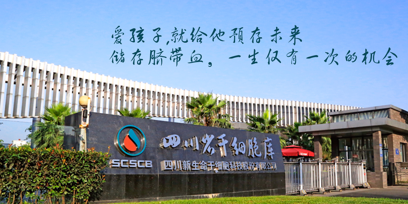 坚定信心，放松心情，胎停过的女性也能再次怀孕