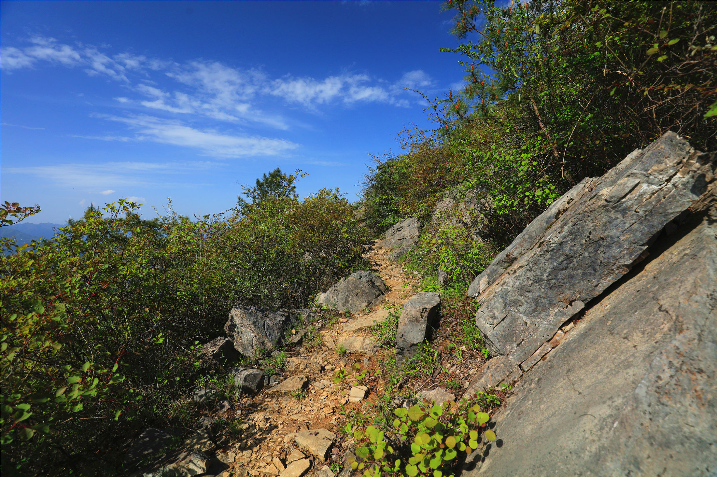 奉节山乡景区介绍词大全,奉节三峡之巅导游词