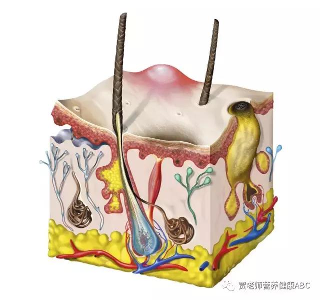 十年战痘的真实经验,战痘只需要这5招