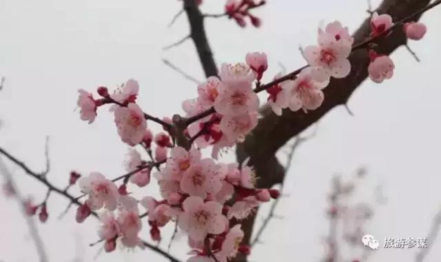 吉林省旅游五一景点推荐,五一游玩吉林出发