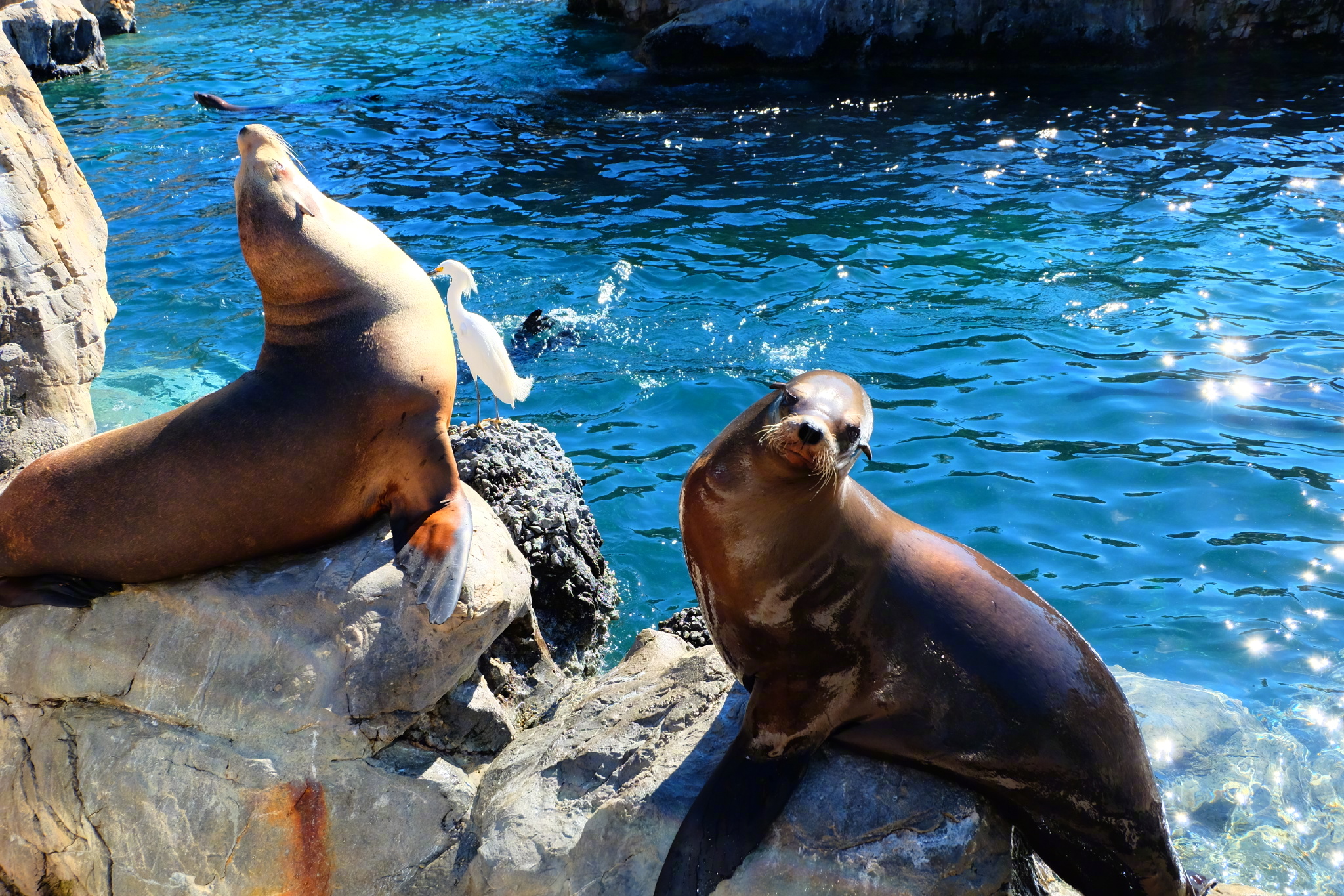 佛罗里达七日游攻略,佛罗里达5天旅游