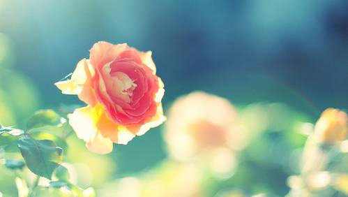 有关报到证、档案、三方、暂缓就，你想了解的全在这