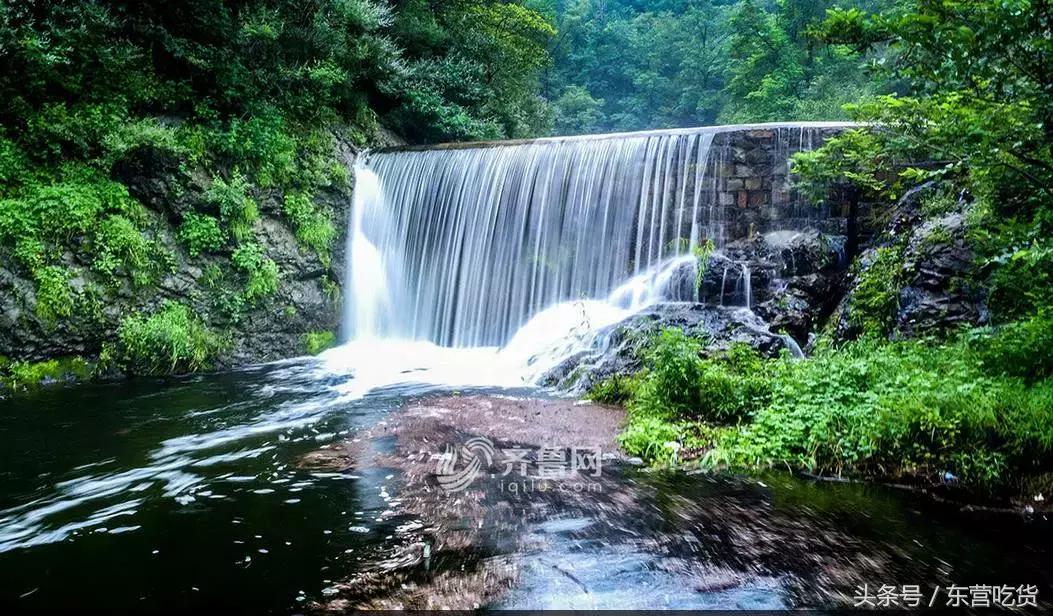 东营五一假期好去处,五一东营去哪里玩比较好