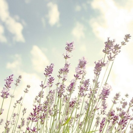 高龄女性想备孕先评估,38岁卵巢功能衰退如何怀二胎