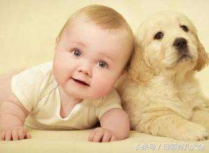 几月出生的蛇运势最好,属马几月出生好运势