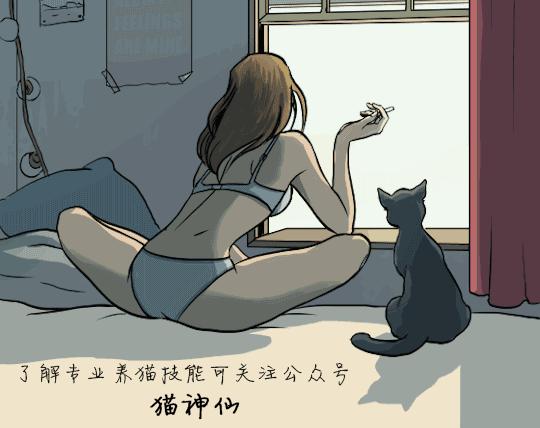 猫咪皮肤病讲解,猫百科猫咪皮肤真菌感染怎么治