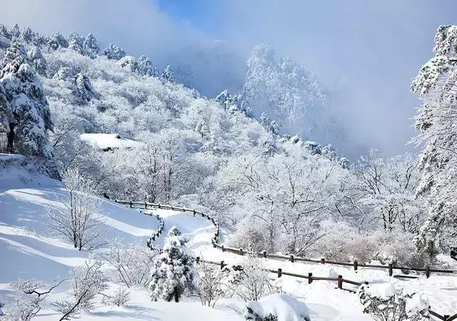 此生余年，和你一起看漫天雪舞