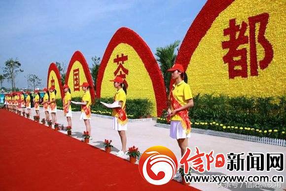 了解信阳毛尖的发展历史,信阳毛尖发展史