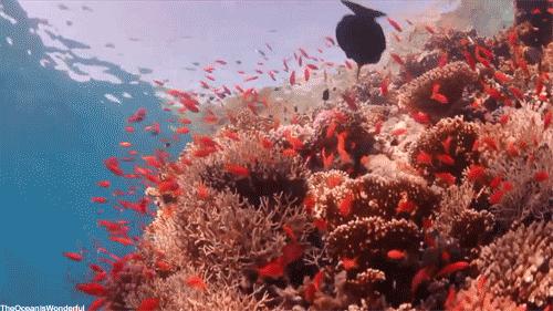 五一昆明商城活动2017,五一昆明打折商场