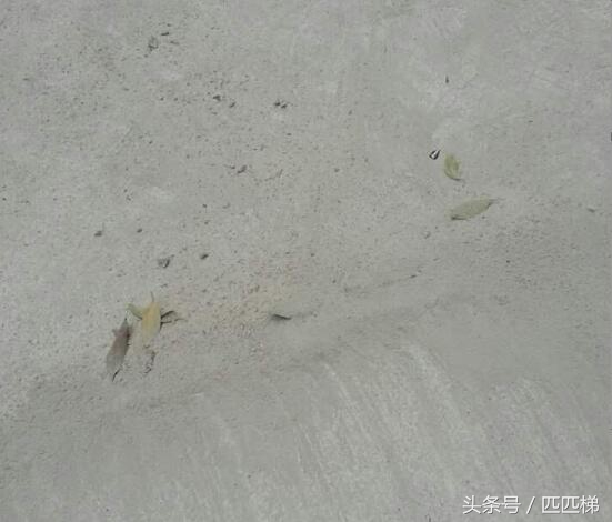 混凝土硬度不够，不用挖掉从新做了，用这种方法轻松解决