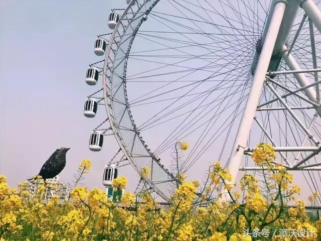 购物中心最新的建筑,购物中心屋顶花园