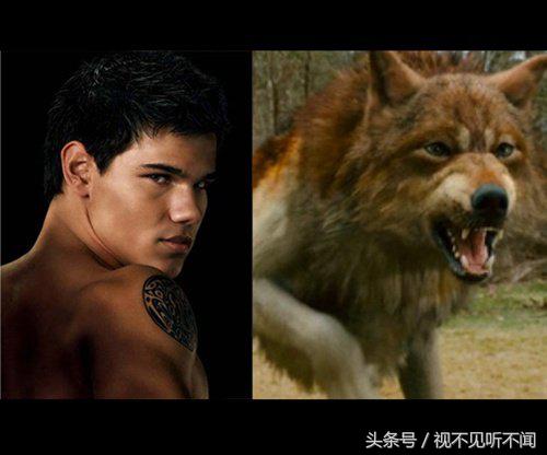 盘点各个电影里的狼人变身,电影十大狼人