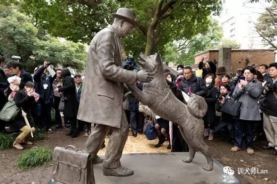 充满责任感的狗狗,又勇敢又可爱的狗狗