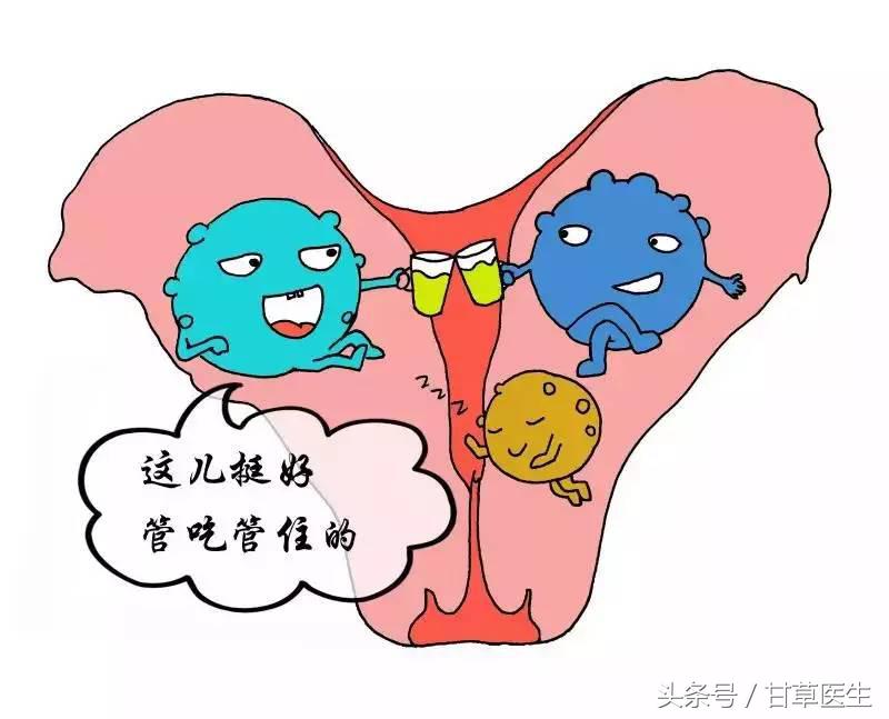 甘草小讲堂｜准妇科医生为你科普白带的秘密！