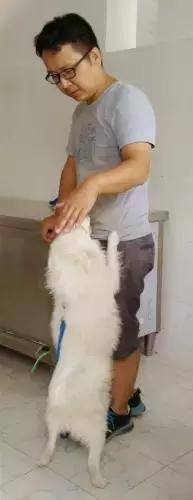 不过是一群流浪狗，却有人为它们耗尽了青春