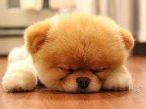 午睡有哪些好处和坏处,午睡对身体有什么好吗