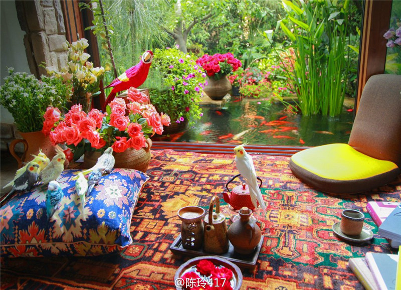 鲁豫和杨丽萍照片,美哭了新疆舞蹈