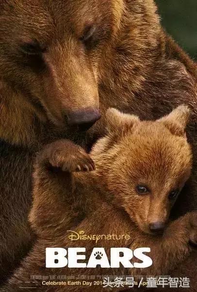 假期一定要带孩子看的5部纪录片,孩子必看的10部自然纪录片