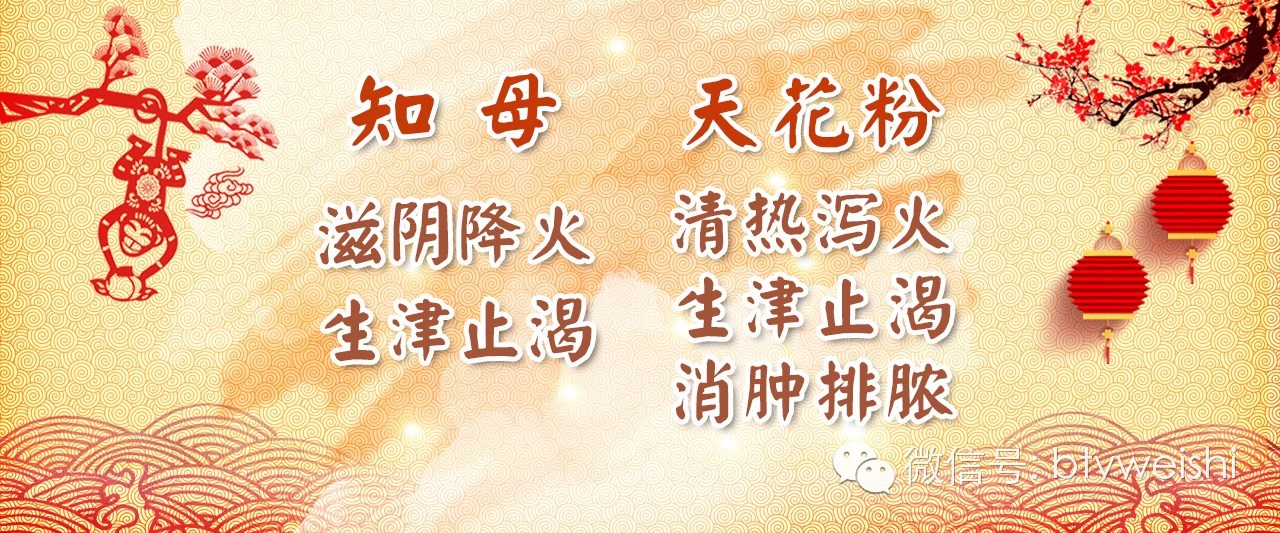 养生堂今日播出《金猴献瑞送健康——方青卓的甜蜜烦恼》