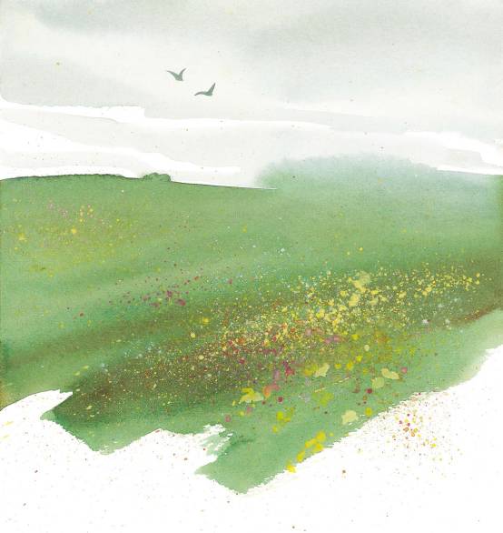 水彩画入门基础知识大全,水彩画水墨画有什么区别基础知识