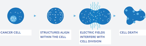 科学家发明新药治疗癌症,应用纳米技术治疗脑瘤