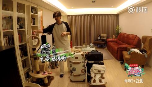 井柏然张若昀红毯,井柏然张若昀机场视频