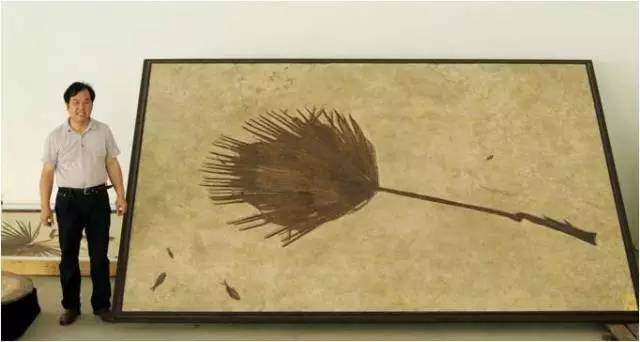 赶快出发!黄石与你有一段“矿世奇缘”，来矿博园找回我们“三生三世”的记忆吧