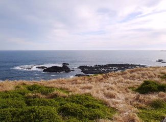 澳洲圣诞节的夏天,澳大利亚跨年夏天