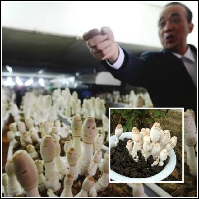 聊城市五一小长假去哪里玩,聊城五一假日攻略