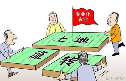 目前农村土地流转最好的办法,农村土地流转的技巧有哪些