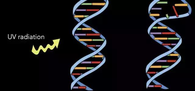 辐射对哺乳期有什么危害,辐射安全与防护的建议