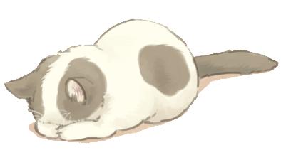 天气多变，宠物生病怎么办？