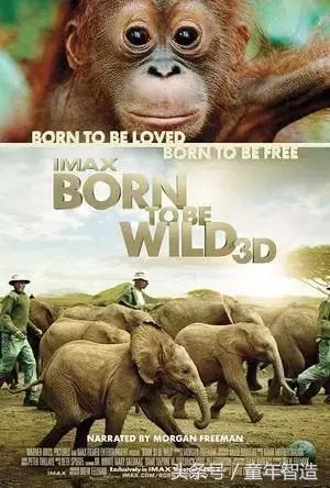 假期一定要带孩子看的5部纪录片,孩子必看的10部自然纪录片