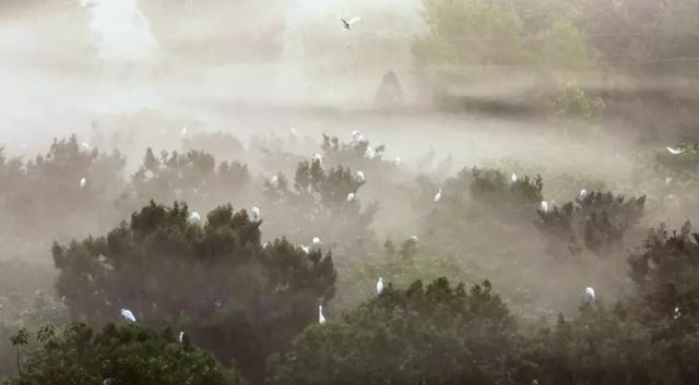 泗洪旅游攻略山东,泗洪旅游攻略自驾游