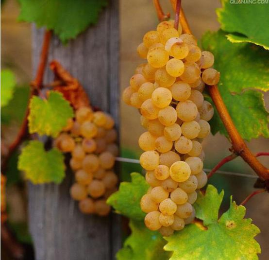 看临沂美景推荐,临沂有什么旅游景点值得玩的