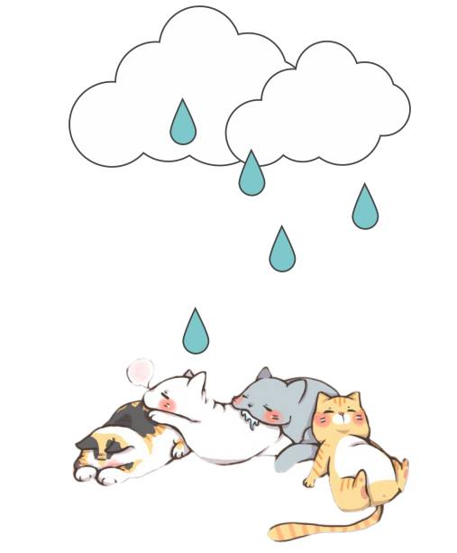 天气多变，宠物生病怎么办？