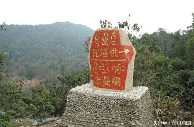 云南普洱茶名山名寨口感,老乌山普洱茶口感和哪个名山相似