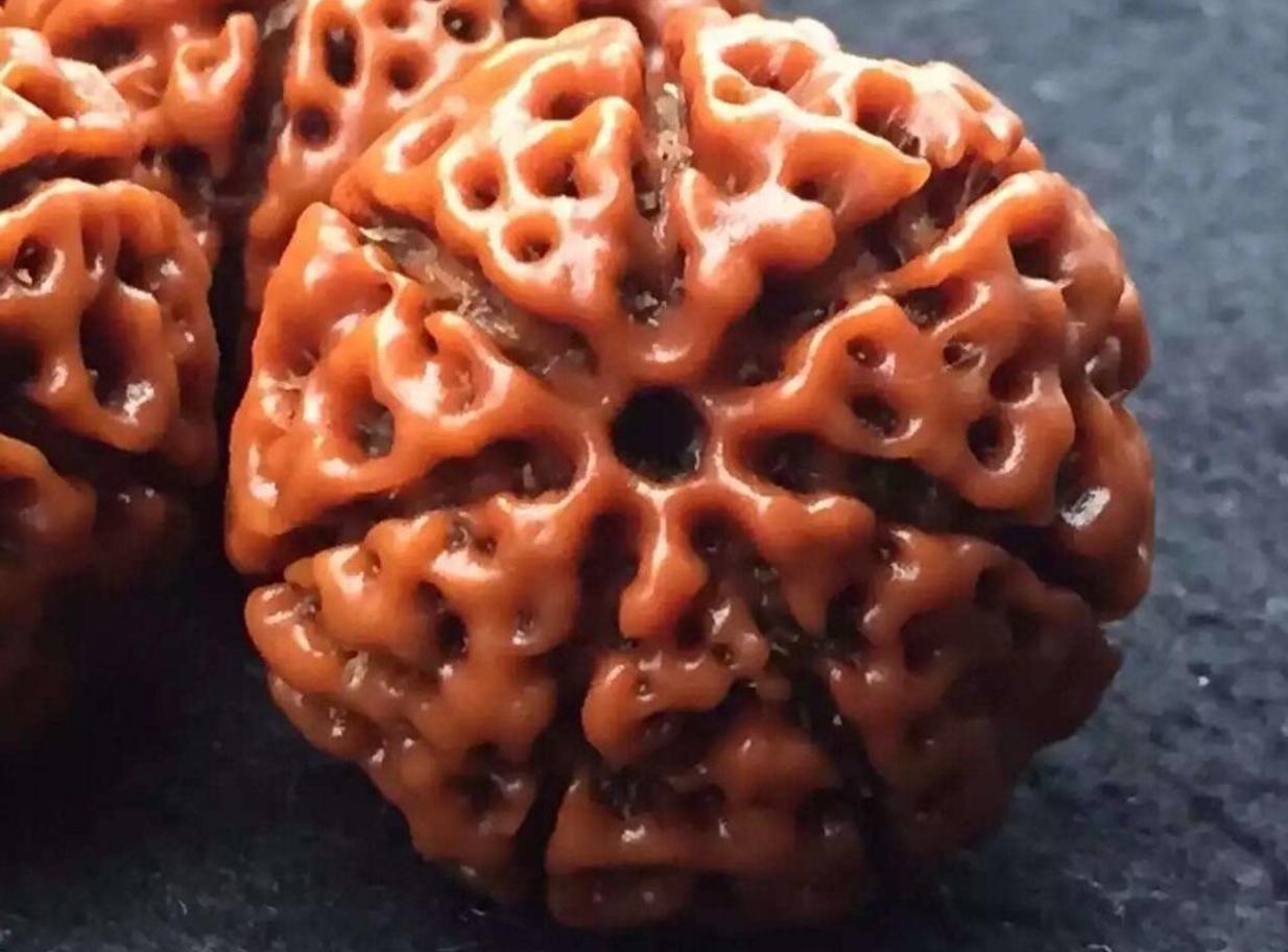 尼泊尔小金刚值得买吗,尼泊尔小金刚的价位