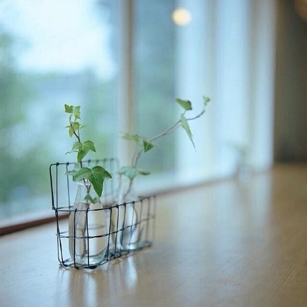 28岁已婚妇女爱上22岁健身教练,已婚但是喜欢上健身教练