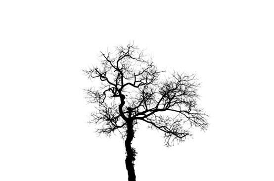 photoshop怎么快速框选抠图,如何用photoshop快速抠图