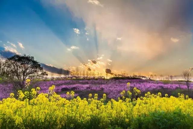 4月照片,4月的照片大全