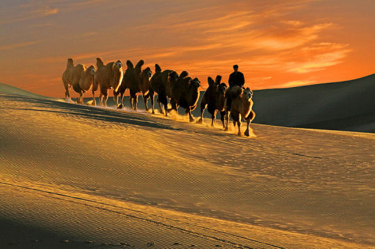 长途骑行最佳线路推荐,最适合骑游党的骑行路线