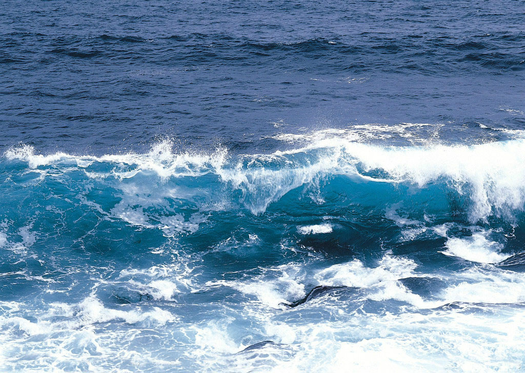 蔚为壮观用了什么结构,蔚为壮观代表什么