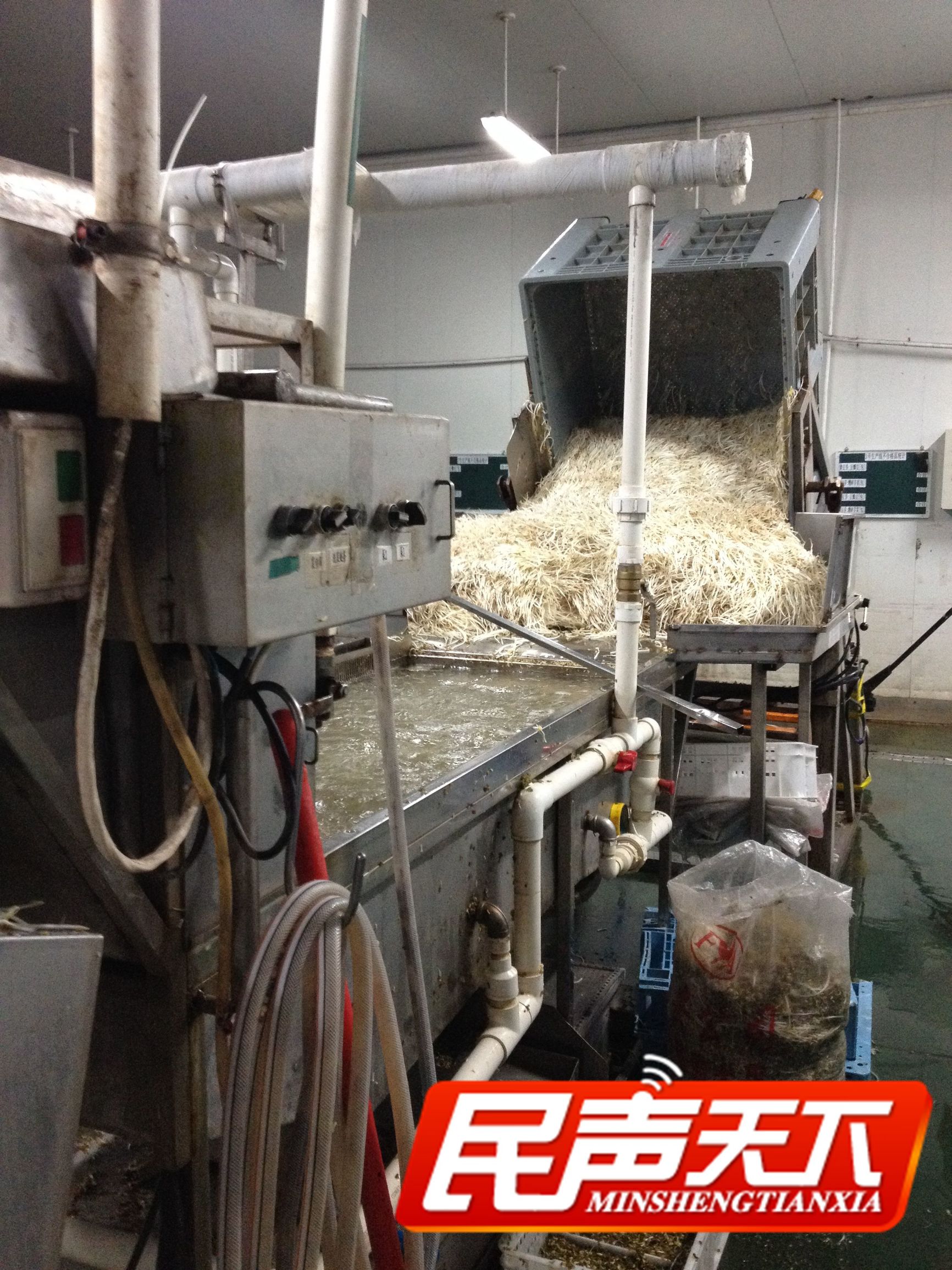 踏雪寻梅玉汝于成,白玉老字号