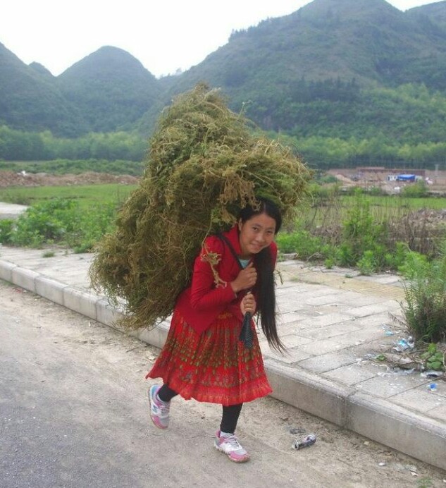 广西女孩选择嫁江浙沪不,广西女孩适合做老婆吗