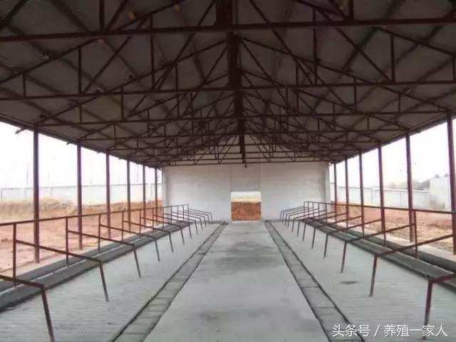 牛圈建设标准是多少,牛圈的建设尺寸