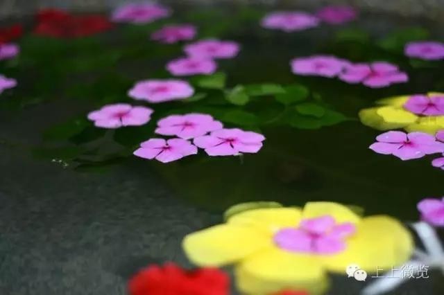 丁香姑娘原唱完整版,丁香姑娘吉他原唱