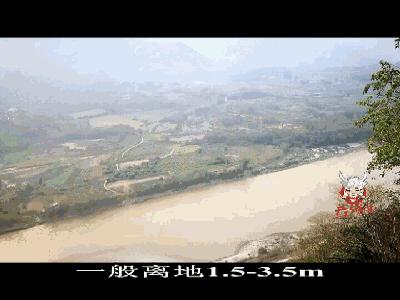 云南大森林蜂蜜好吗,云南热带雨林天然野生蜂蜜