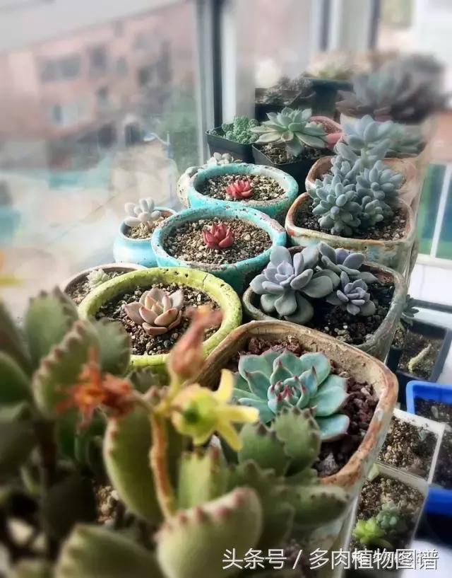 入坑半年的经历,入坑五个月总结